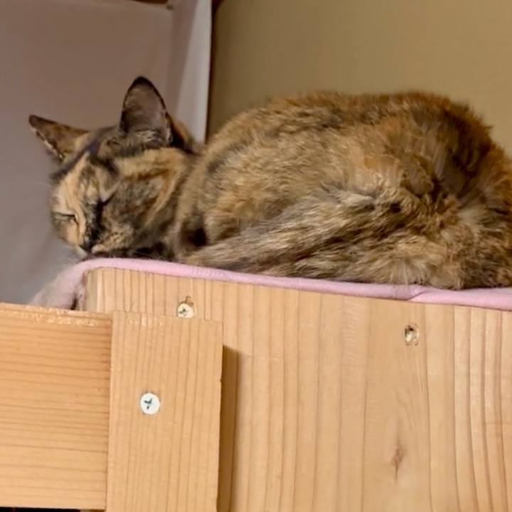 Ee9d809f d6b6 4bbe 91e7 32ceb0e09d7d 1767094251073