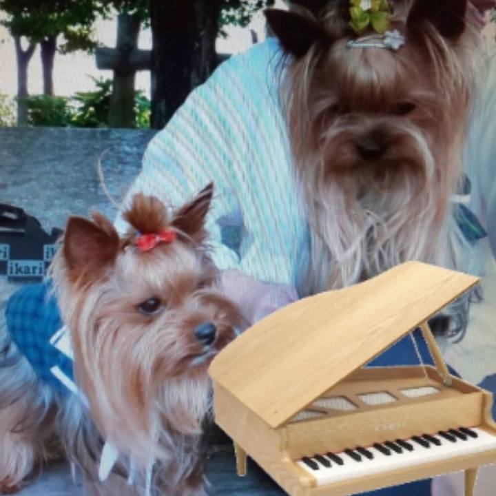 Ee9e7427 33a6 491d bb86 5679e20d92b9 1723960724403