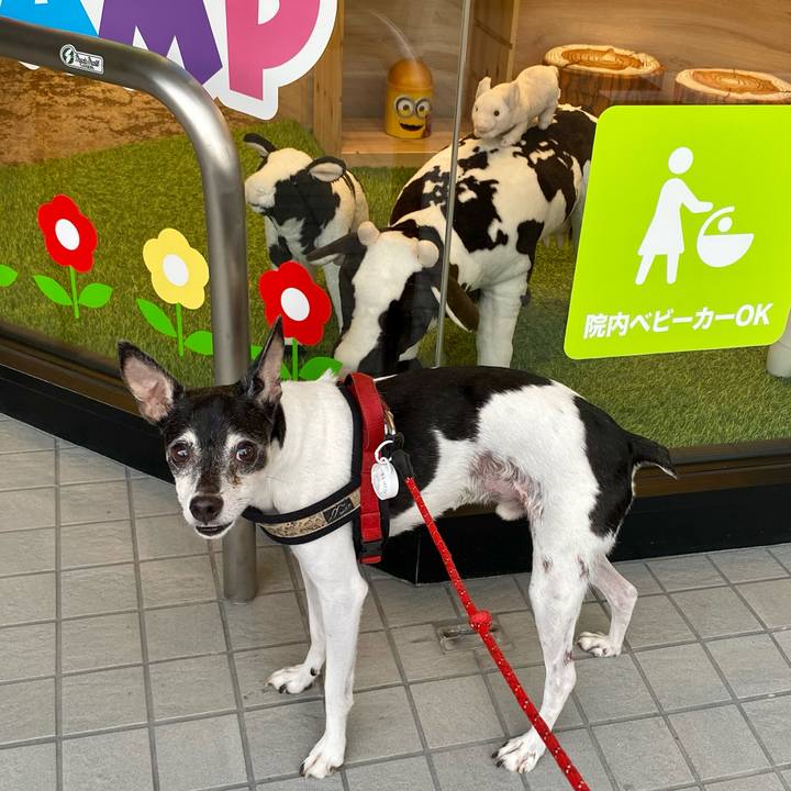 Ee9e9267 c498 44ed 8279 06dff3ada1cb 1632558905305