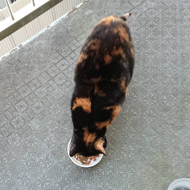 Ee9e9675 36a2 4ef9 9c40 a1627bdf53c6 1646388782622