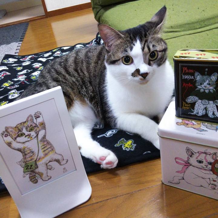 Ee9eab22 30aa 4da5 a007 27859f4f9821 1634893825817