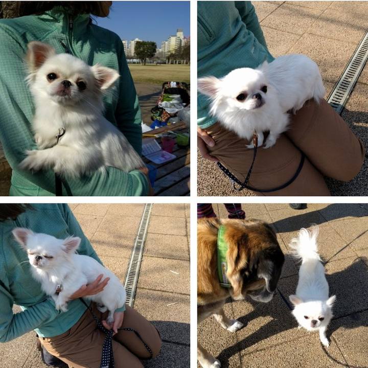 Ee9eb56a c981 46b0 8af0 49bdace22ccc 1520992688894