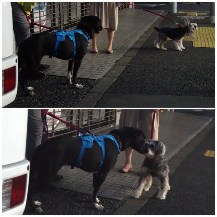 Ee9ec6f6 d760 420e b9b6 554f7497d523 1617274021392