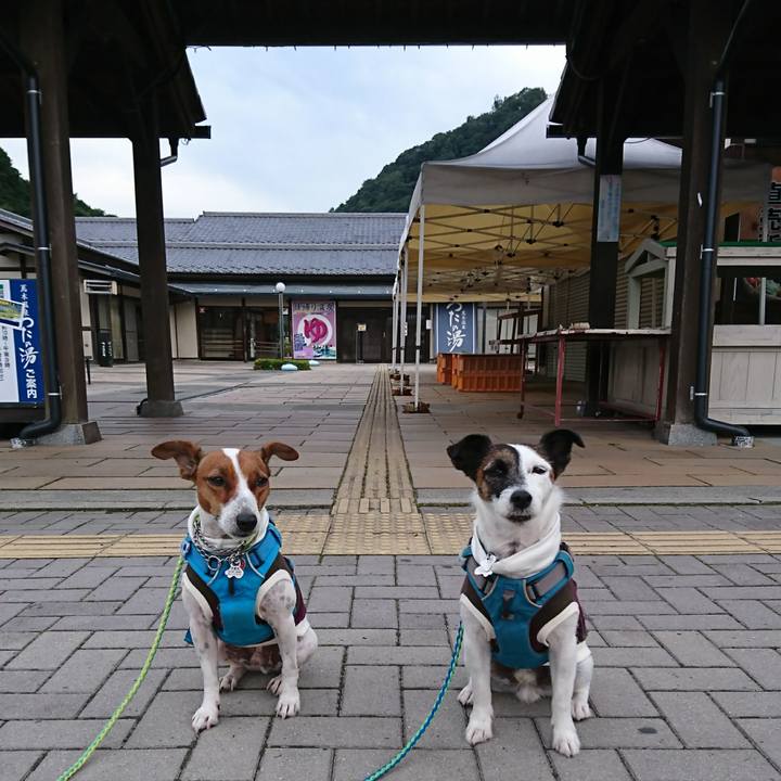 Ee9ec7a0 77d6 4b7c 89b3 a52735968c02 1600639429352