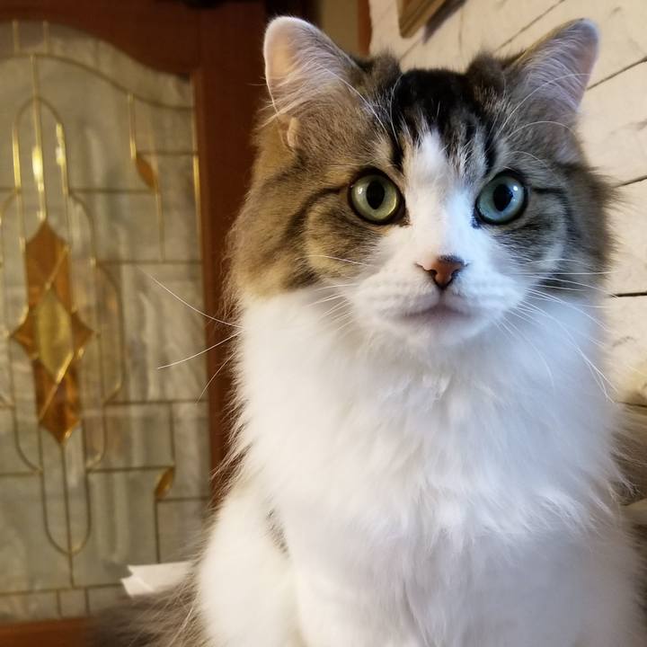 Ee9f26db 4c20 4013 a1c7 cf0ba65d4b05 1541454449021