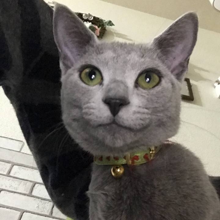 Ee9f74c0 33d9 4e4f 9630 a46db01805dc 1512868874849