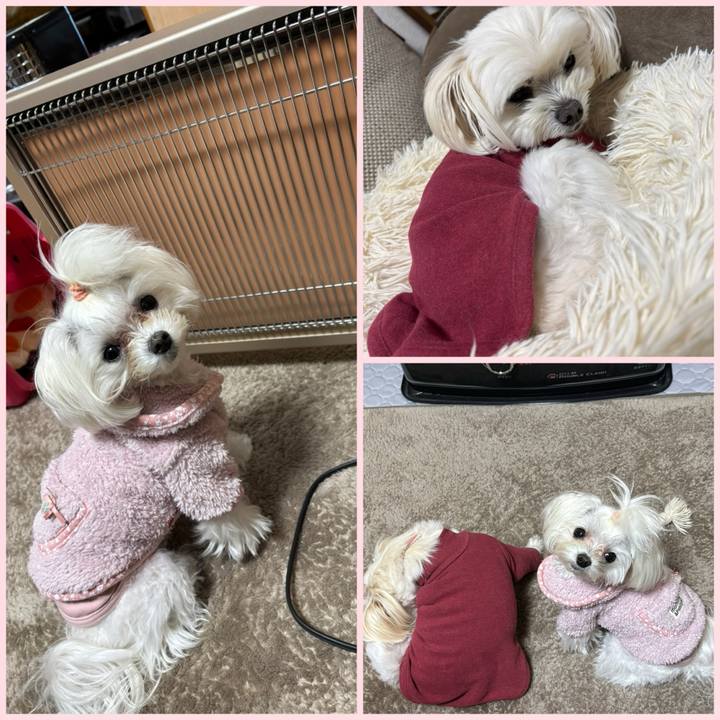 Ee9f853a aab4 4ced 9554 73eb48c17397 1736584832020