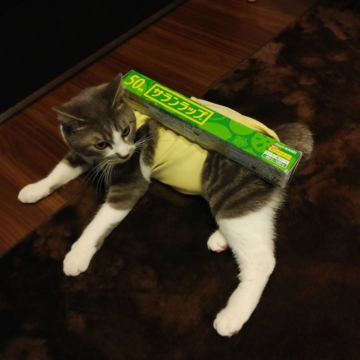 Ee9f8c03 8f04 48a7 84ef a21f6e7d760c 1585299460015