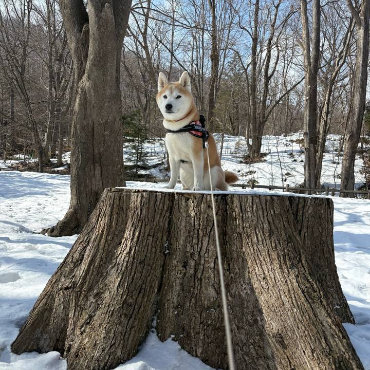 Ee9f9d6a f8a1 48de a6fc 7949b25d675a 1743401463796