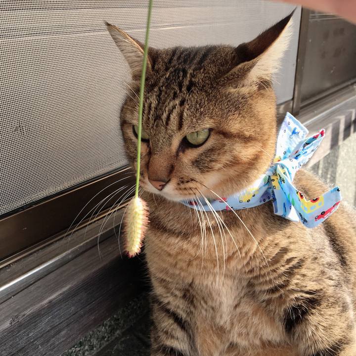 Ee9fc72d 9b9e 4457 b42d 428ef591f1ee 1570059066284