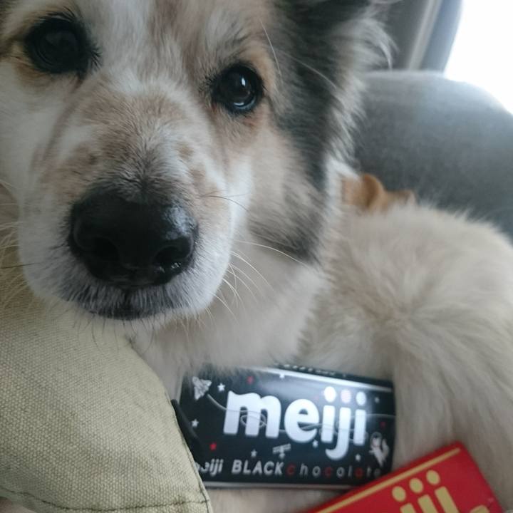 Ee9ff29f e343 4d32 a006 04609f7123d2 1550143332080