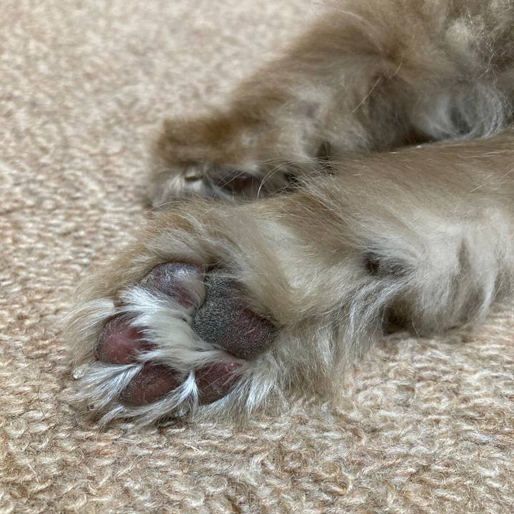 Eea009e3 a467 4d1e a03e 0ce14ed225d7 1733179616542