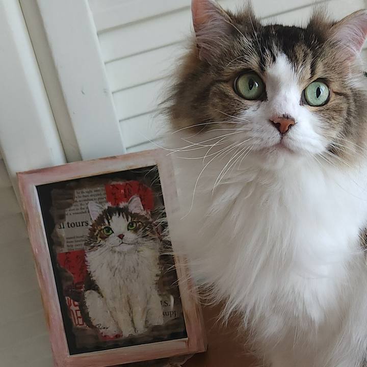 Eea00c94 a333 48a0 99c1 52f26b23f059 1751968307427