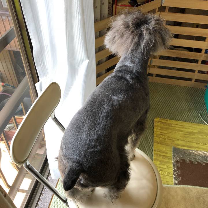 Eea01d8a 0bfc 45a9 bfb0 050a1f0ea6a8 1527942294581