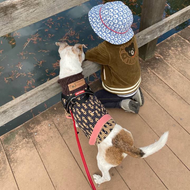 Eea0596f 409f 4ecd bfbb 2865f26fffa1 1606120533113