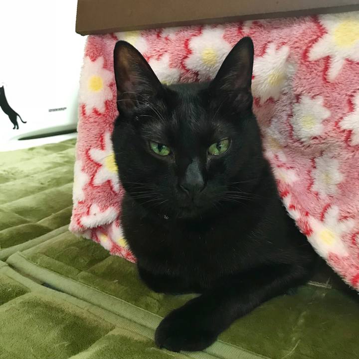 Eea0601f 2287 4a01 baeb 911208a7abce 1516502189069