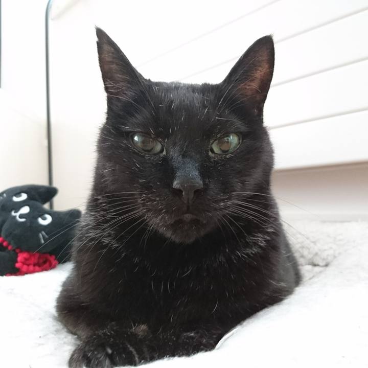 Eea06db2 74eb 40b7 a584 db493ca4b3cc 1580511723720