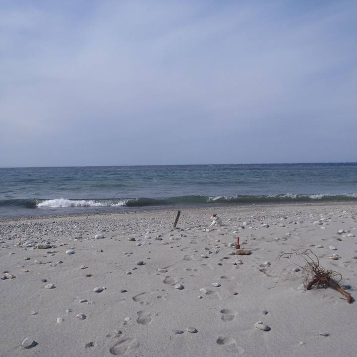 Eea0a6ea dc8a 4fee acbb 2628169a5994 1520417711202