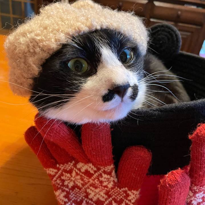 Eea0aeee cf7a 4591 88ce 451787082e3d 1740962243024