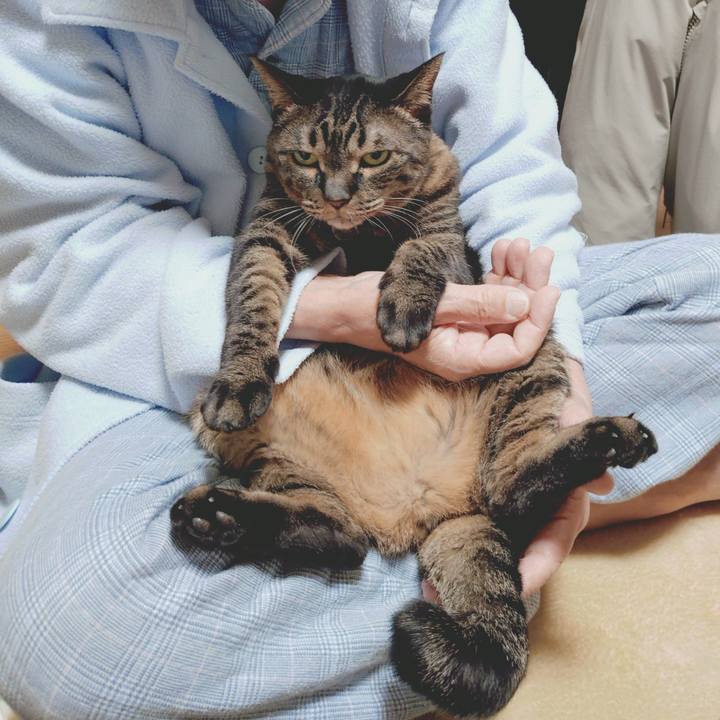 Eea0b344 b339 4f85 a511 c1e4836a7ad7 1773783651168