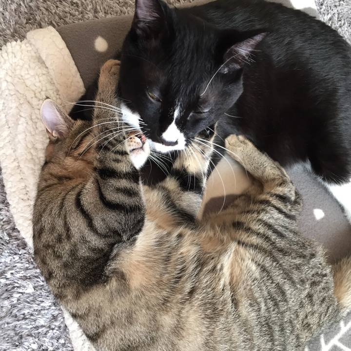 Eea0f890 243c 494b a1f5 fbae6862073b 1511257116268