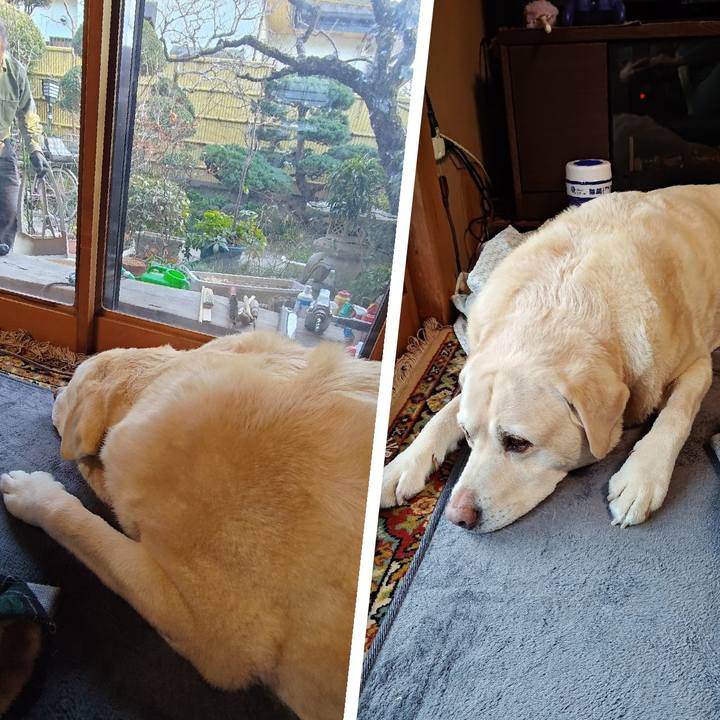 Eea11101 2e1e 454e 86be d50ac007dfc6 1769843254120