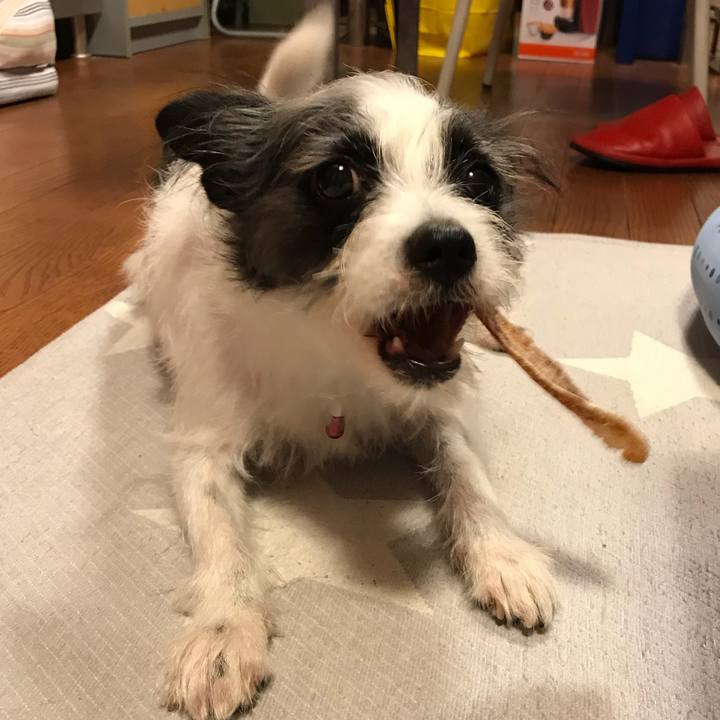 Eea1625b 9b8d 49cd 82e9 ab749b9980fa 1536839089896