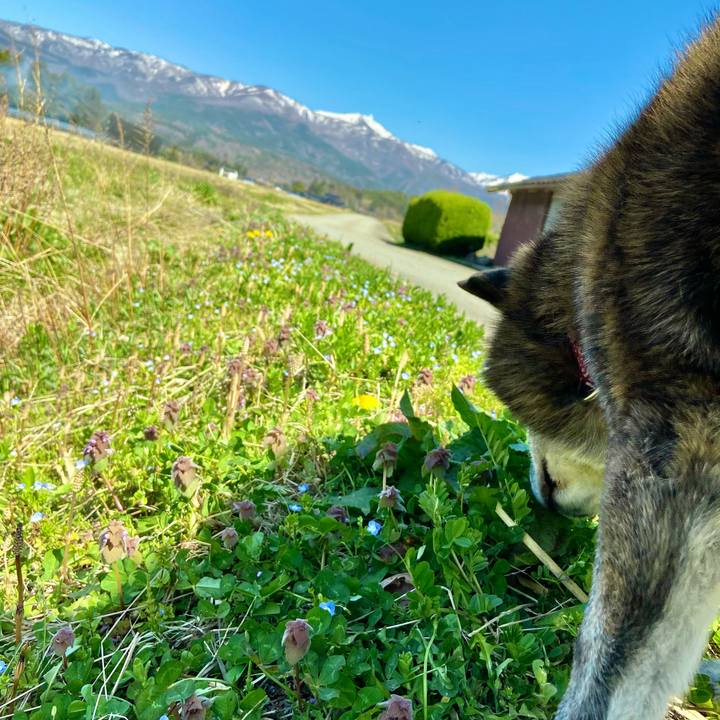 Eea16c4e ea15 493e b2ee 868e4d0d317b 1649490362496