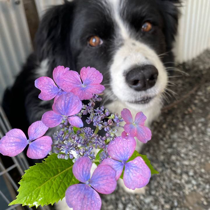 Eea17fec 546d 4a76 b348 0110f099de45 1620871396709