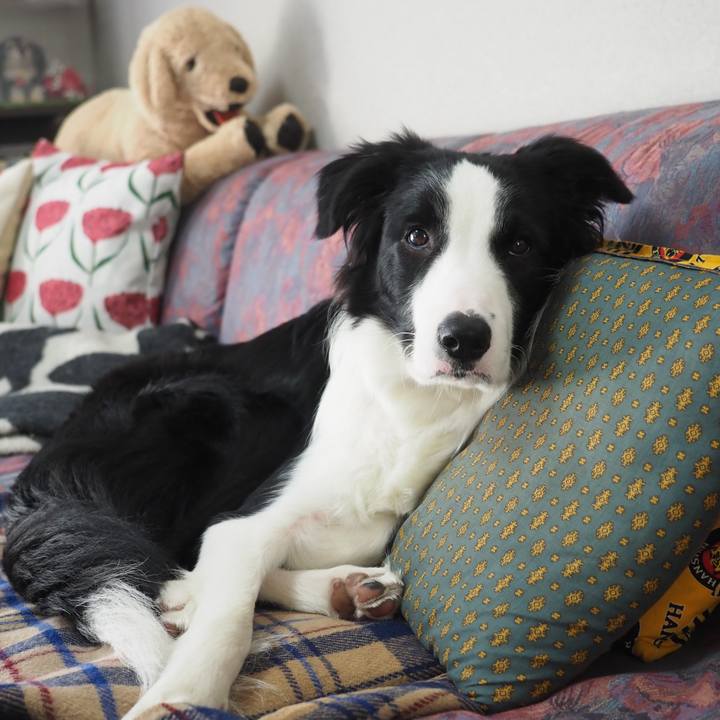 Eea1904c a789 4391 89a4 9692ab0112ab 1769177254569