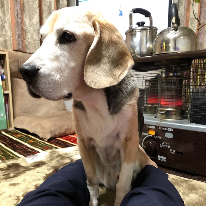 Eea1eae2 472d 436c 9461 d2b3f0389377 1576754877022