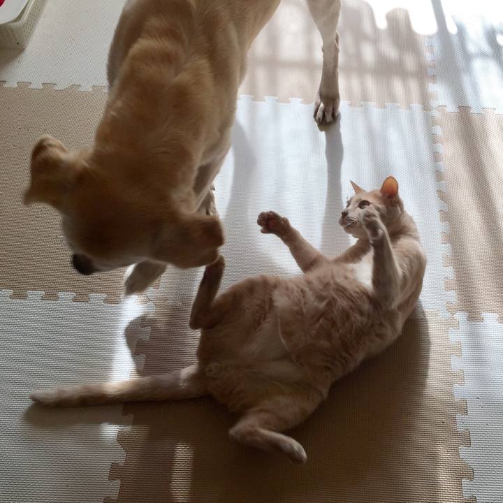 Eea20433 9807 48aa b3a9 71e24b151a8b 1623844307640