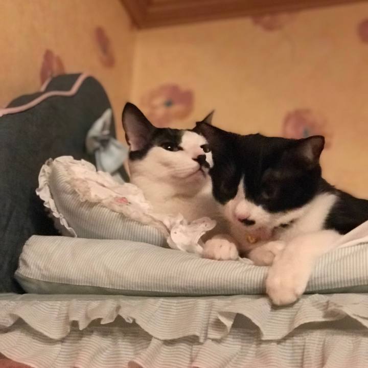 Eea21764 9a2d 44f2 a70a 7aaaa7fb6c17 1517934290069