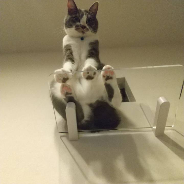 Eea2245c e45c 497f b24b 5cb1c6e33c4d 1628985752702