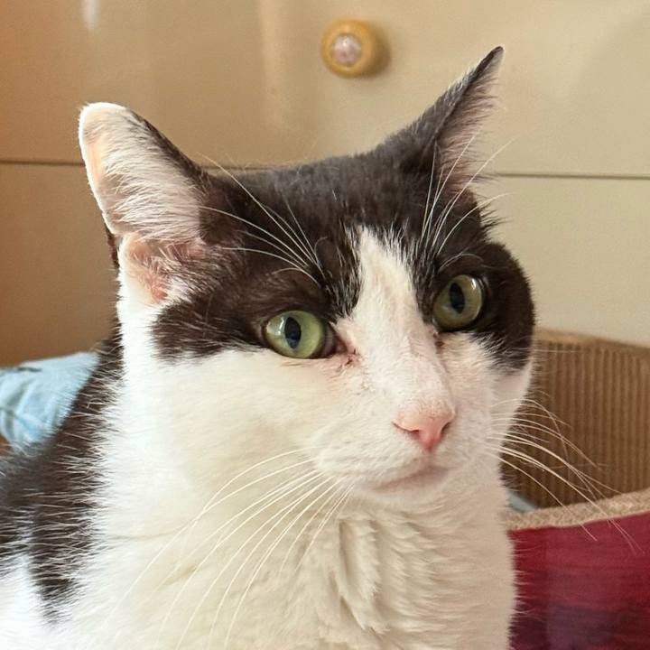 Eea24fd9 af15 4e7c b32d d25605cdce27 1748918467917