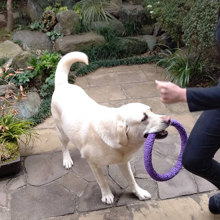 Eea25ff0 76ae 4759 a395 d1b420eb558a 1647663720364