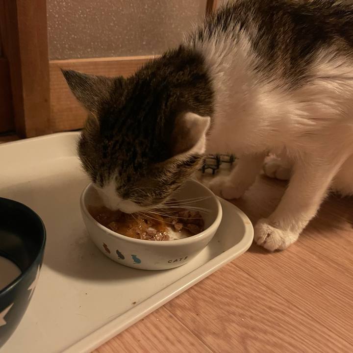 Eea26fa0 23a3 43b6 99f6 be5a2fc3d593 1641980471492