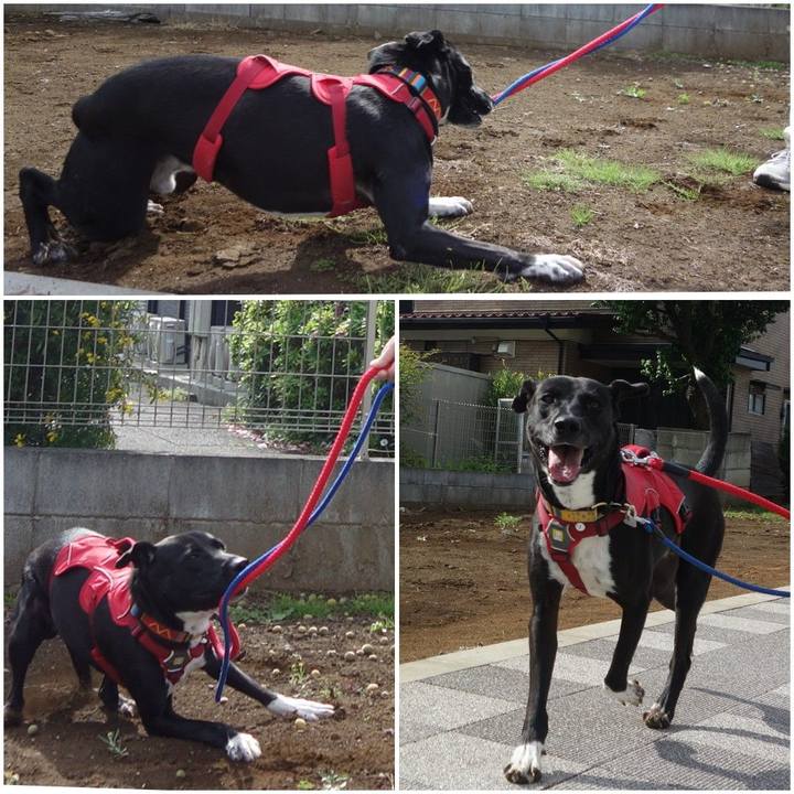 Eea27dcf fb1c 4563 8d9f 9b52b13dc68a 1589073578572