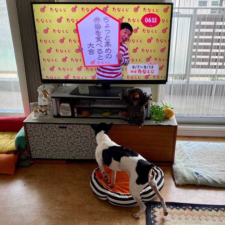 Eea2a820 c4cb 4df7 8393 3fe500e441b2 1599430193386