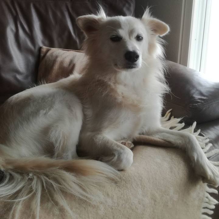 Eea2af4d f4fa 4e99 845b 715533098f6d 1511320863274