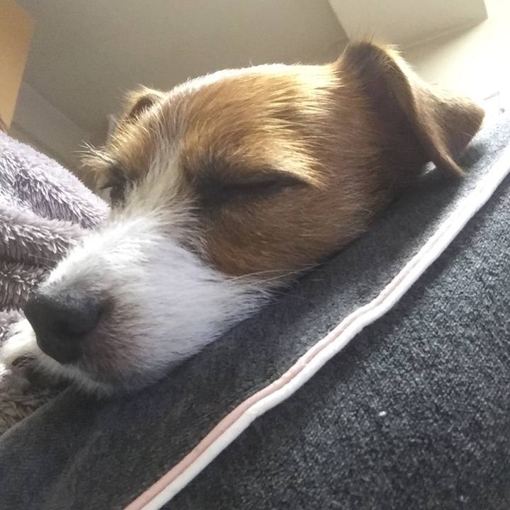 Eea2b691 faef 43bf a425 04766bcfdce2 1514718391351