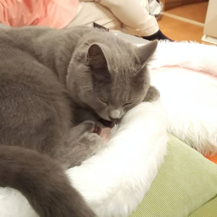 Eea2db20 806d 44f9 a1e4 ce902826cae1 1540292428409