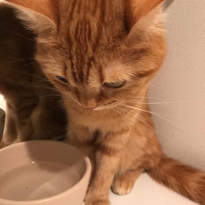 Eea2e11f 298f 4bbf a909 20a2651ec6c2 1524966420404