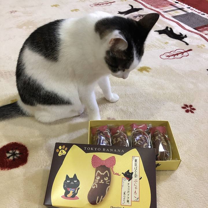 Eea30b1a 72e2 4b11 8d96 66ca7b30c352 1669633521491