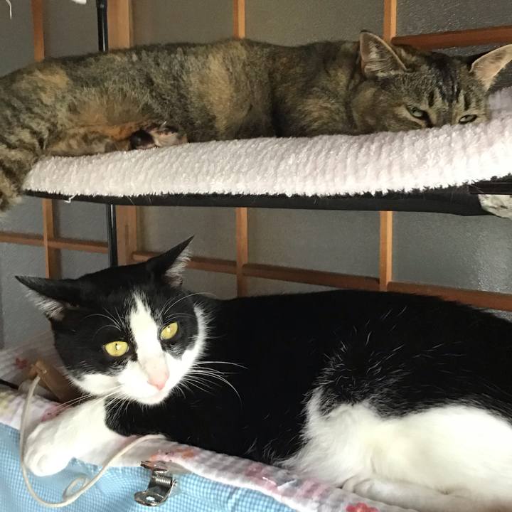 Eea32ef9 519b 4bf5 ab2f d36f3fc1fe1e 1687760299032