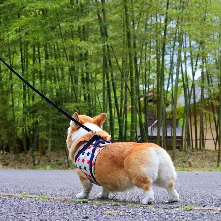 Eea33020 4059 4399 aac7 51a8aec282ef 1622471428659