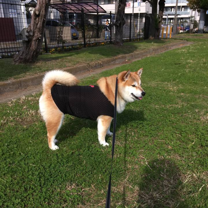 Eea36c40 f4c3 400c 907a cc838e9d482f 1542516530235