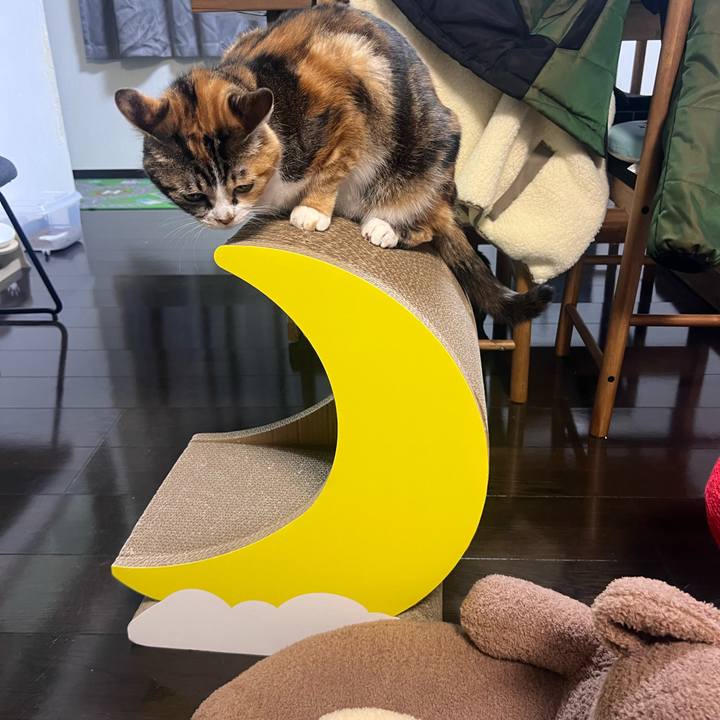 Eea38c12 9daa 4243 9f84 128fb081b0bd 1768299860369