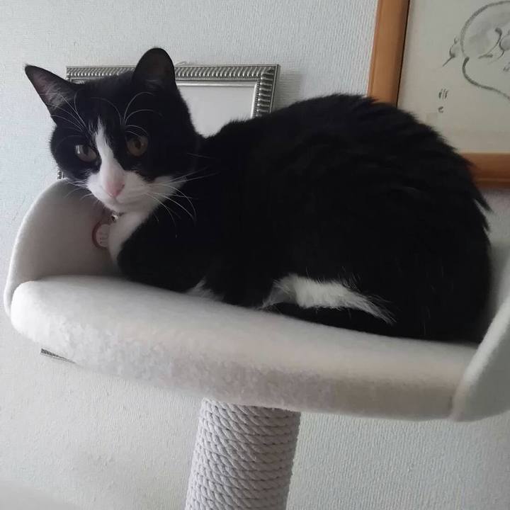 Eea3b66d e5a7 4baf 98cd 2aedb6f9935c 1552401622446