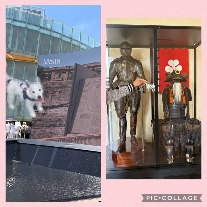 Eea3d5cc e849 4bc7 afcf 69c90d6364ba 1749786748188